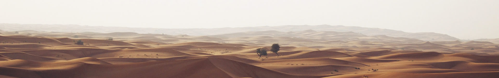 лݽƷ޹˾